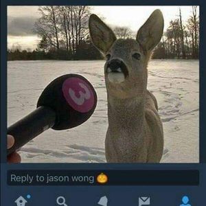 Meet your Posher, Cheyenne